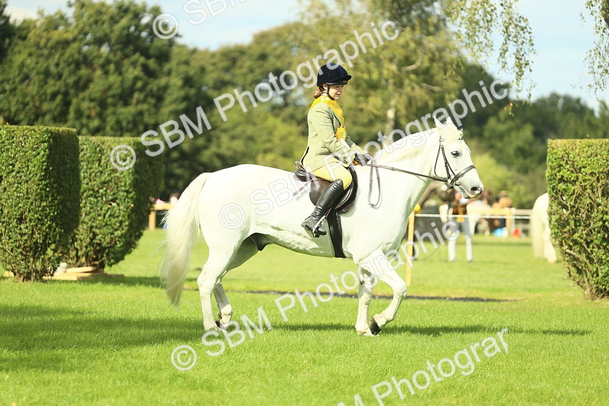 SBM_44887 - Working Hunter Pony Supreme Championship