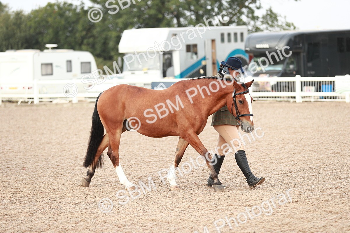 SBM_09480 - Class 201 Best Turned Out IH