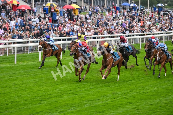 080925-Race 2-Alzahir-7409 - Race 2 3.00pm Sky Bet Super Sub Sprint Handicap
