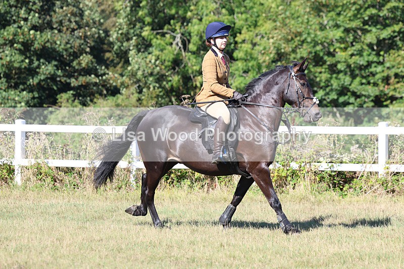 3E7A5492 - Class 3: Working Hunter 70cm