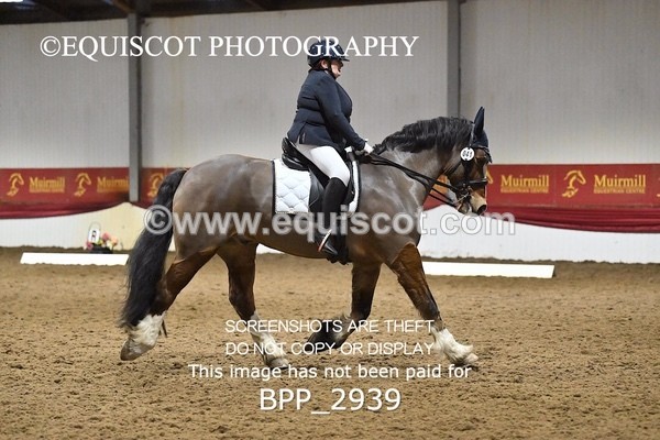 BPP_2939 - ELEM TEST 4