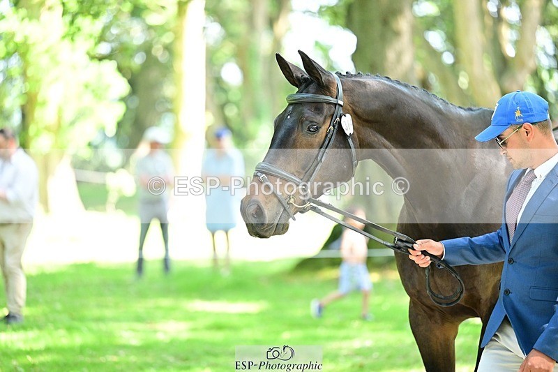 260527A-152527-01157 - C-364-Matteo.Gallucci