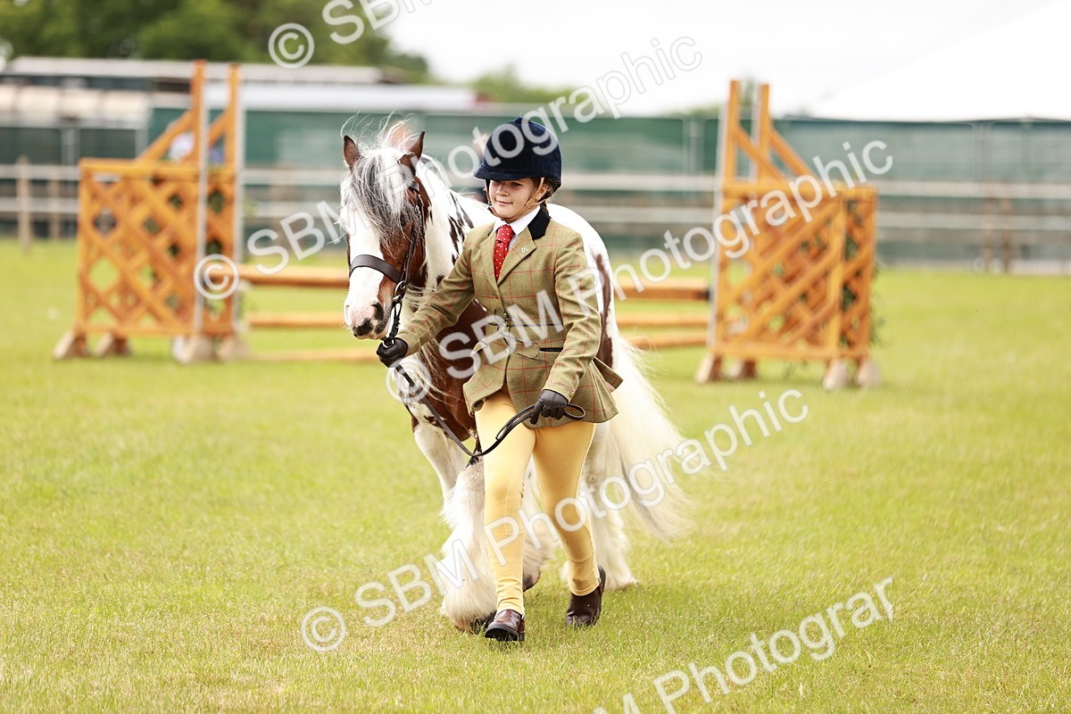 SBM_06065 - Class 39-41 TGCA In Hand and Ridden