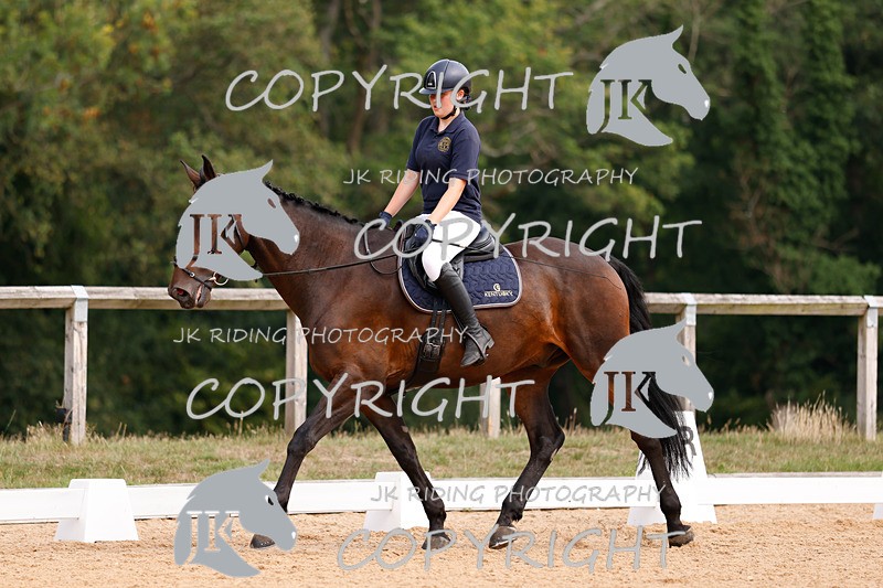 _R6A2376 - Dressage Morning