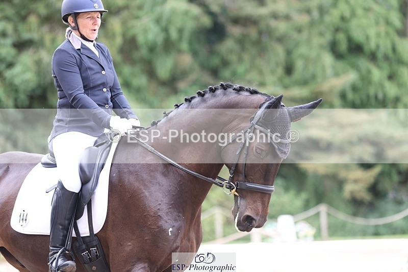 230813-102034-06260 - Cls 11 Elem Bronze Start to 10.50 break