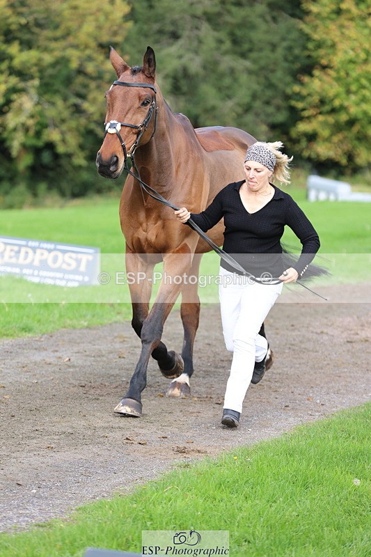 251026A-114906-25700 - G-514-Carolyn.Price With Trot Up