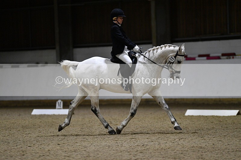 WJ5_8788 - Class 5 Novice Test 3