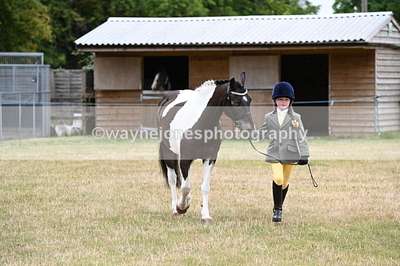 WJ6_4339 - Class 10 Coloured In-hand