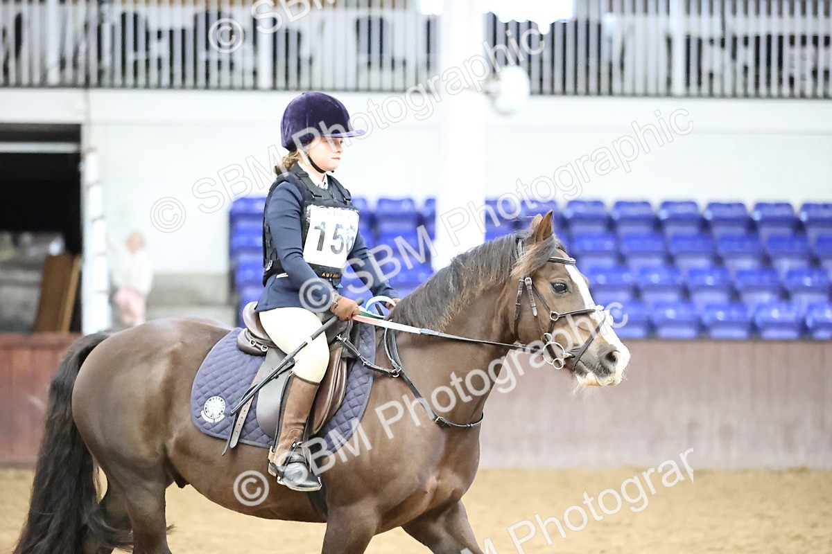 SBM_000233 - Class 2 - The Rug Lady 40cm Area 12 Championship Qualifier
