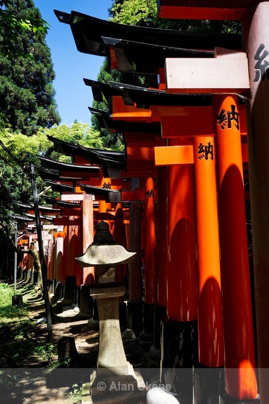 DSC05423 - Kyoto