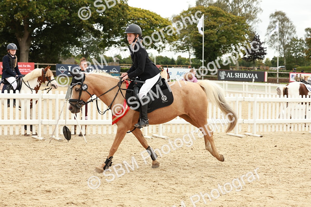 SBM_65354 - Supreme Championship 50cm & 55cm