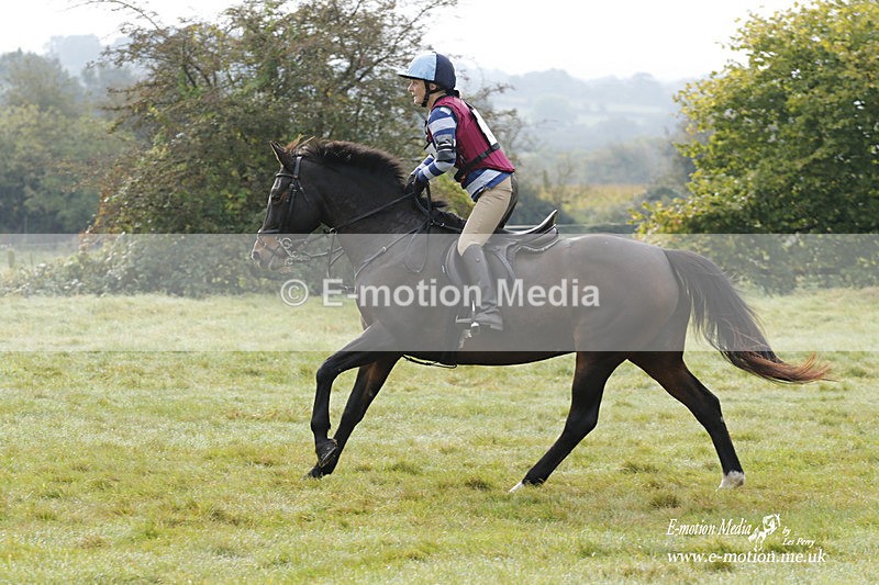  WWHT 171021 0706 - Open Novice (0.80m)  17/10/21