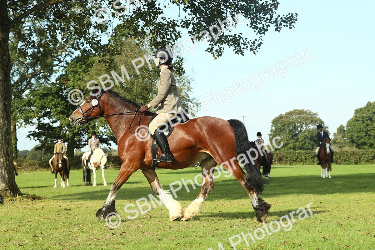 SBM_59937 - S38 - Starters Ridden Showing