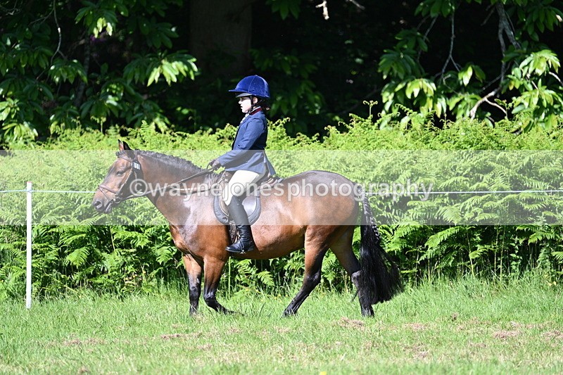 WJ7_0368 - Class 8 First Rally Pony