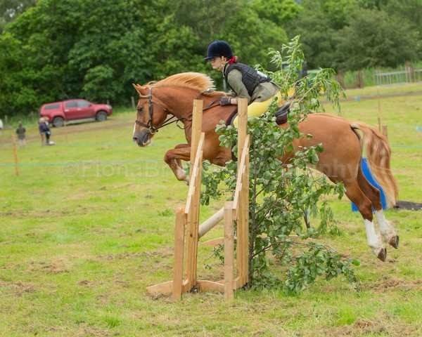 Dunblane show-156 - Dunblane and Doune Show Ring 1