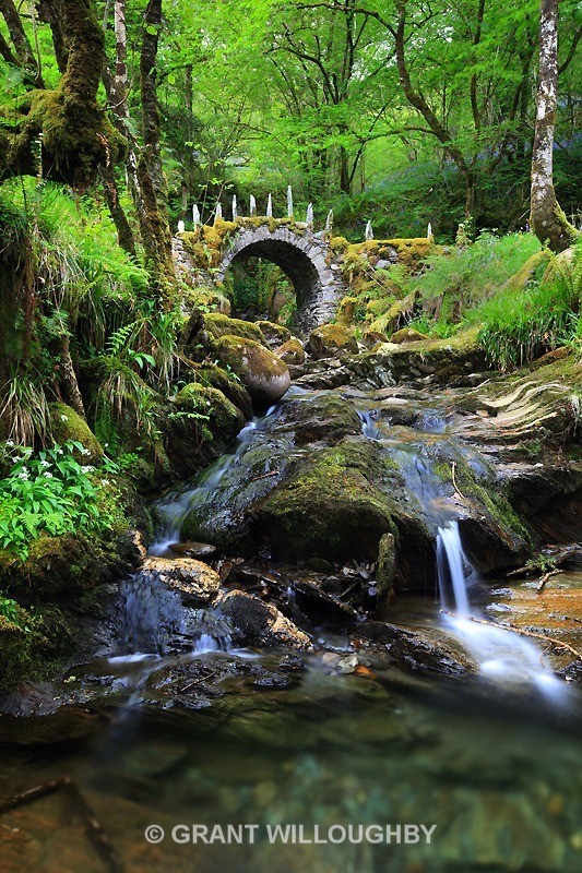  - Woods Trees Gorges and Waterfalls