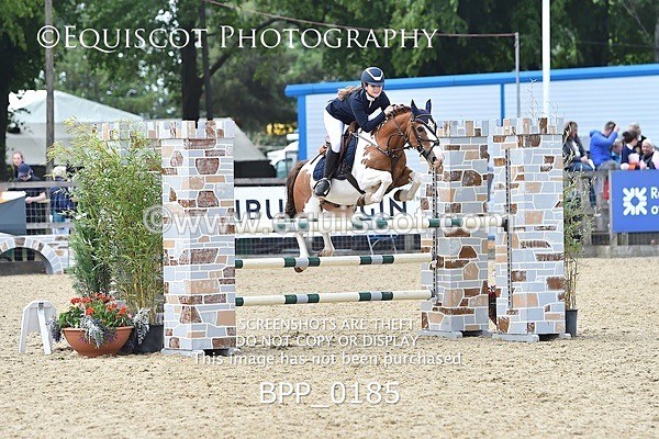 BPP_0185 - RHS 2019 Selection - *Just some random spectator shots so Lucky Dip if you are there!