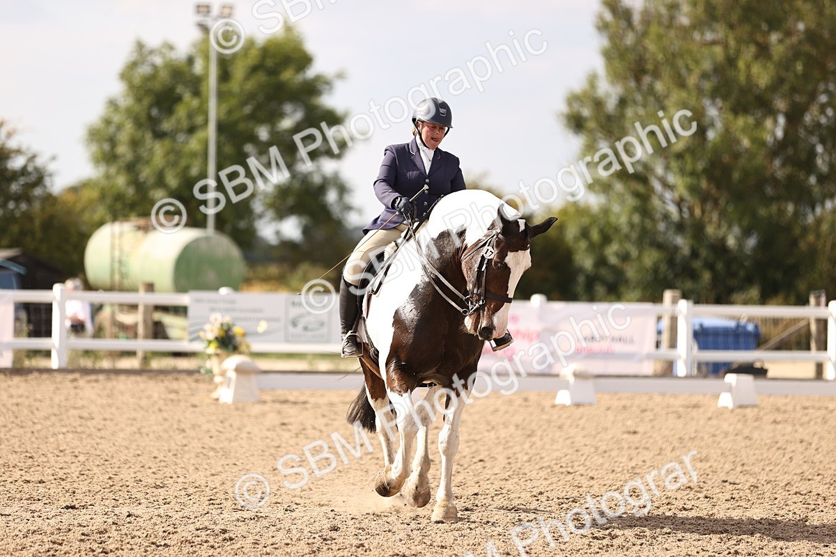 SBM_08099 - Class 39 Medium 3