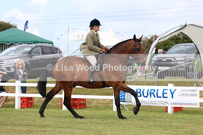 3E7A9320 - Class 4: Rising Star M/H Hunter