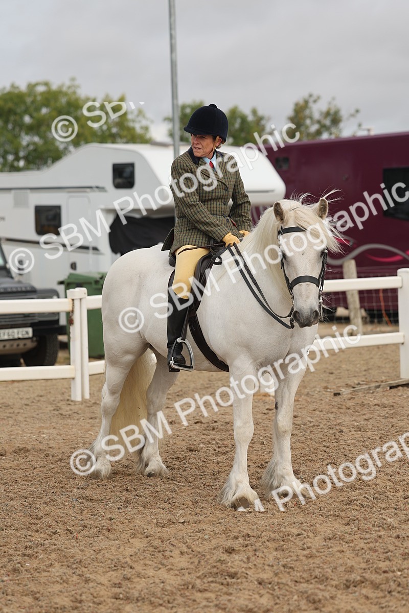 SBM_01957 - Class 14 - Ridden M&M Wildcard