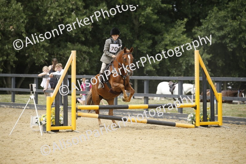 20250622-5915 - 60cm