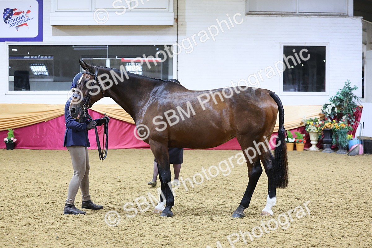 SBM_19684 - Class 901 - Supreme Final - IH Diamond