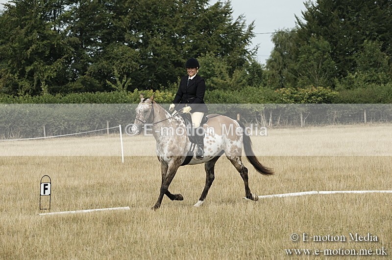 _PJP5700 - Dressage Classes BVRC Show 2018
