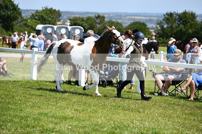 DSC_7634 - Class 64: Coloured Pony 4yrs & over