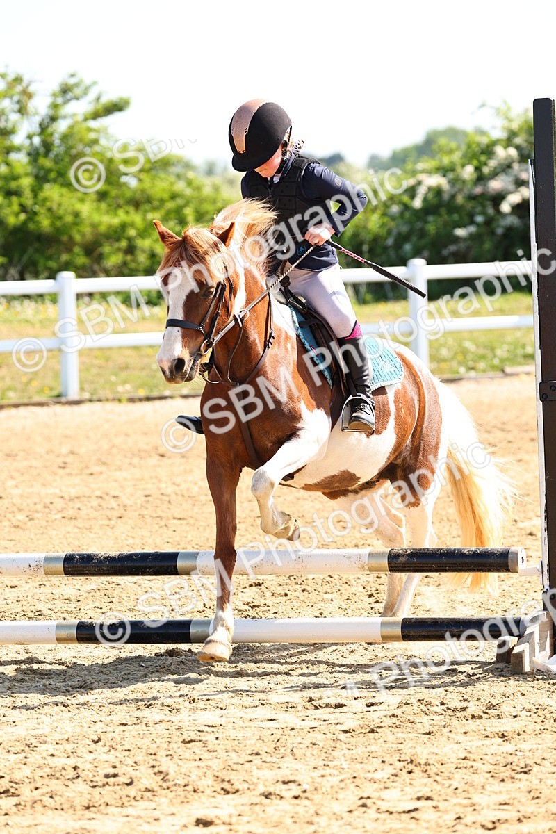 SBM_006661 - Class 2 - 50cm