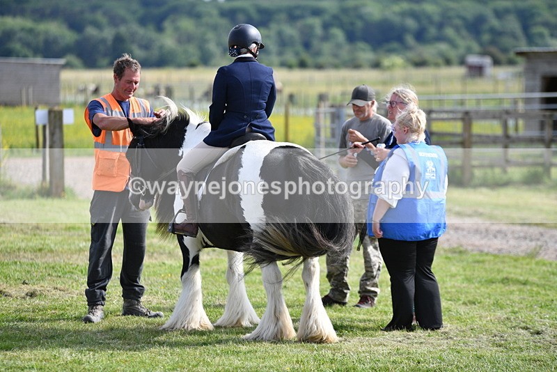 WJ5_7813 - Time 16:40 to 16:55