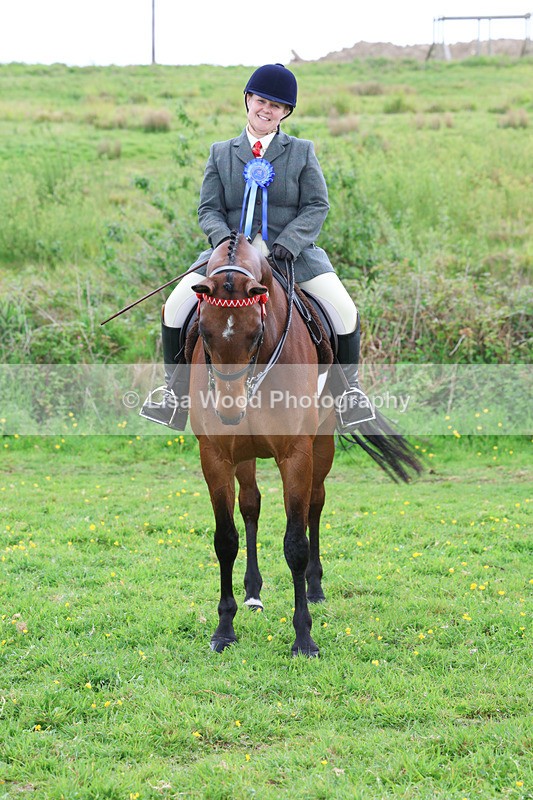 3E7A2041 - Class 10: Ridden Sports Horse