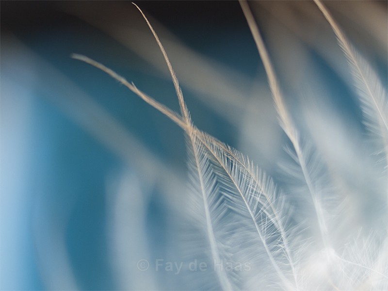  - Ethereal