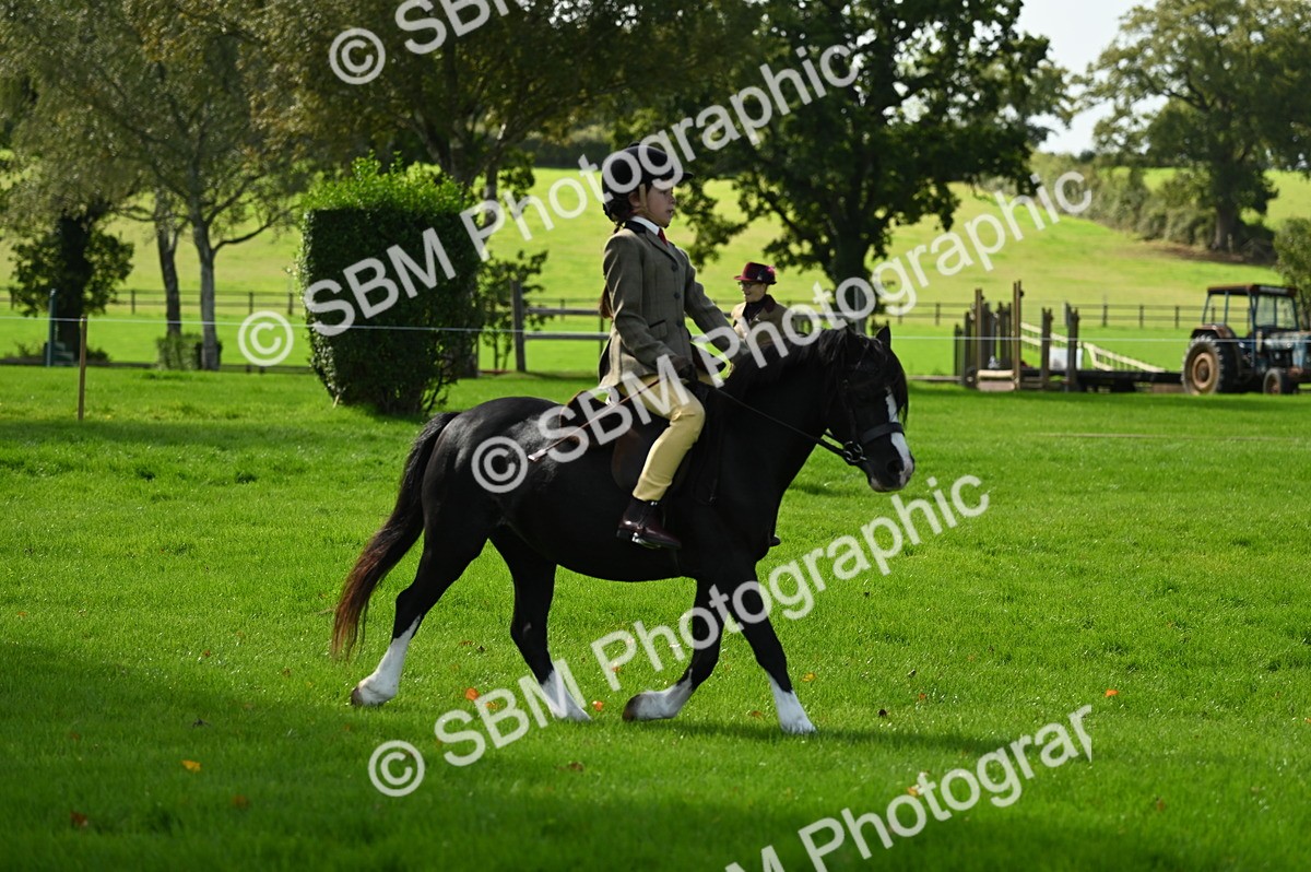 SBM_02710 - S3 - TSR Ridden Pony Showing
