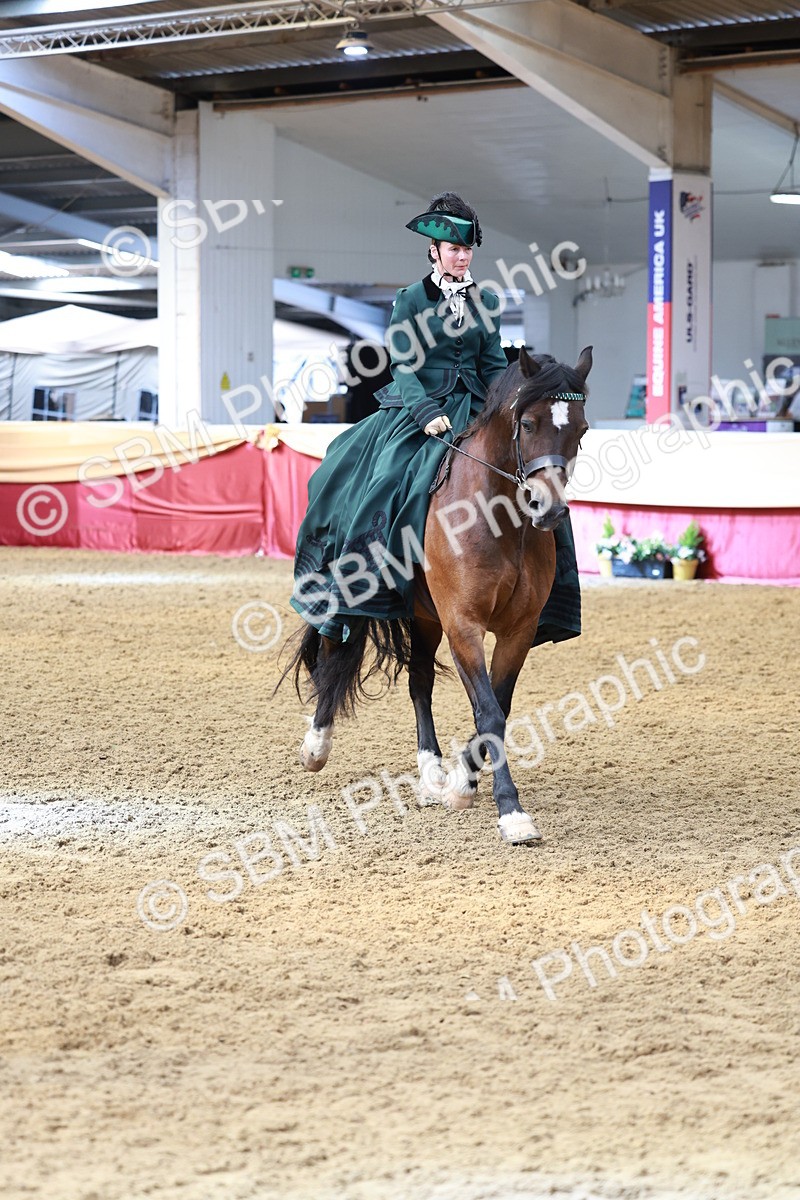 SBM_14815 - Class 107 - Ridden Costume - Astride Adult  (20+)
