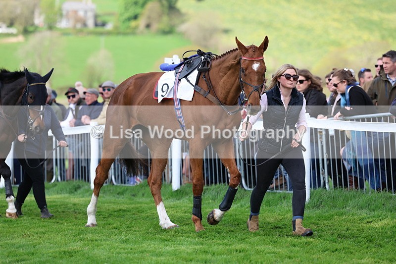3E7A1136 - Race 6: Maiden (NWFAA)
