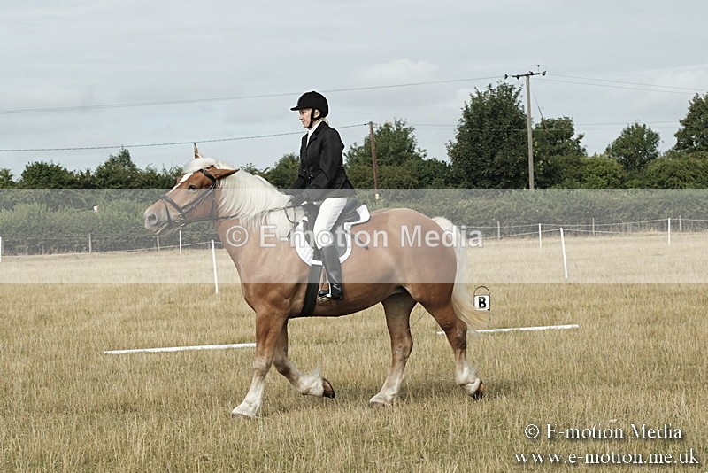 _PJP5593 - Dressage Classes BVRC Show 2018