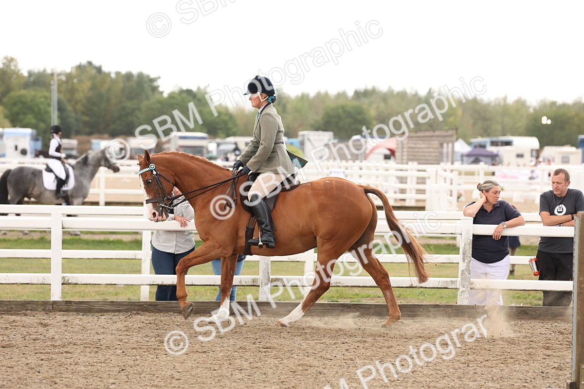 SBM_02923 - Class 53 - Ridden Competition Horse/Pony