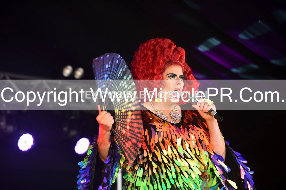 SH4_4158 - Ruby Slippers