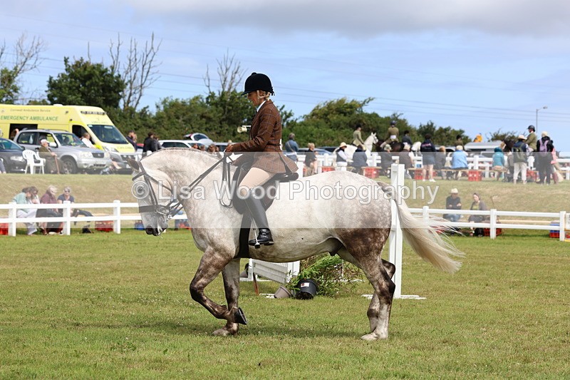 3E7A0272 - Class 6: Rising Star Maxi Cobs