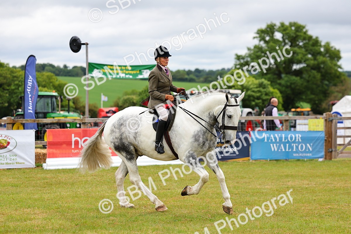 SBM_02670 - Class 9-11 Side Saddle including LIHS Rising Star Ladies Show Horse