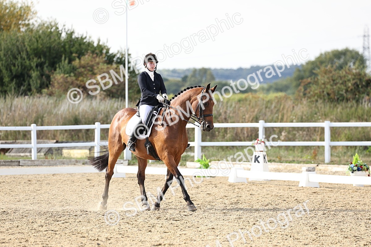 SBM_015434 - Class 9 - Advanced medium 3