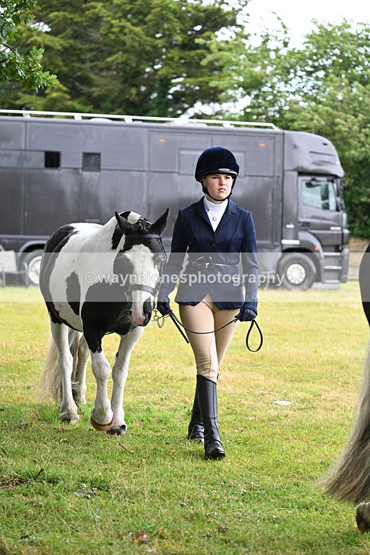 WJ7_5840 - Class 4 Prettiest Mare in Hand