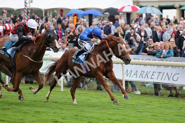 yr22072022r2-26 - Race 2 5.50pm eventmasters.co.uk Stakes