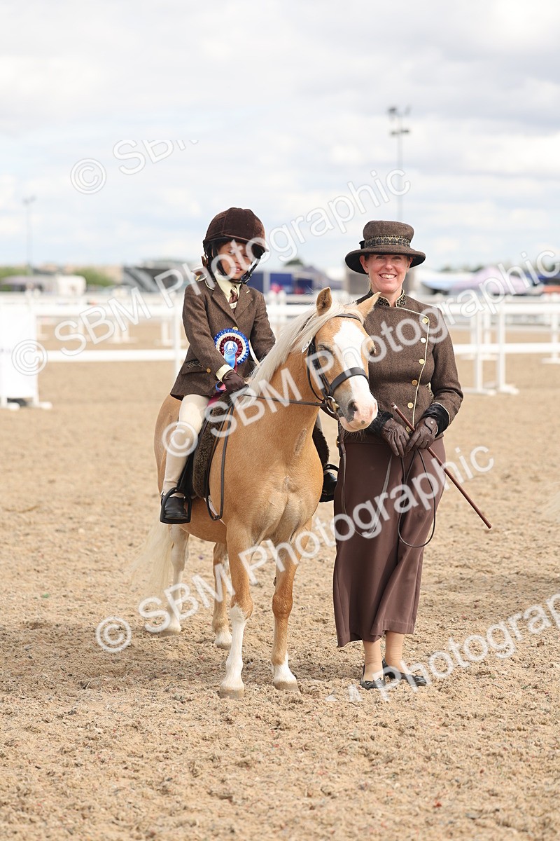 SBM_15845 - Class 309 - Lead Rein Pony