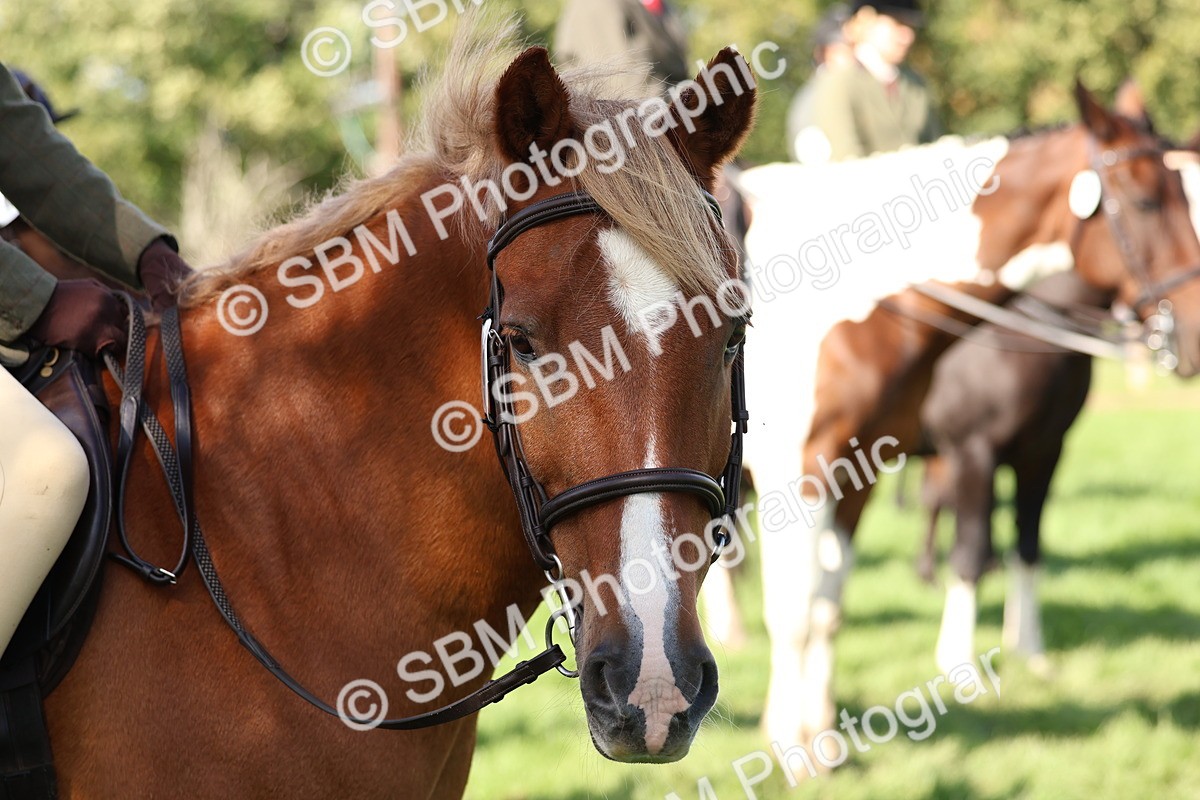 SBM_45308 - S27 - Young Veteran Ridden