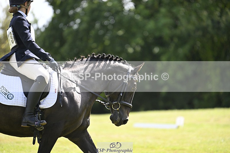 240824X-131145-26723 - D80 Section E and F 12.00 to 13.20