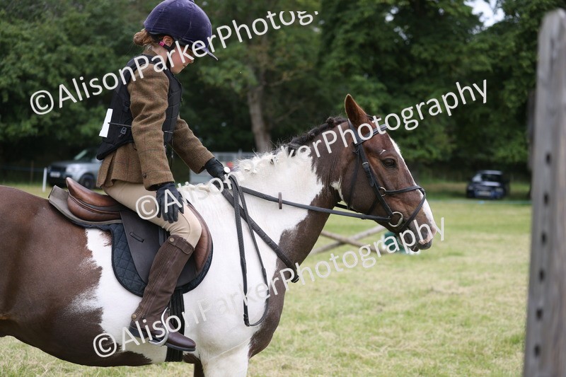 20260614-3075 - Class 22 - Open Working Hunter