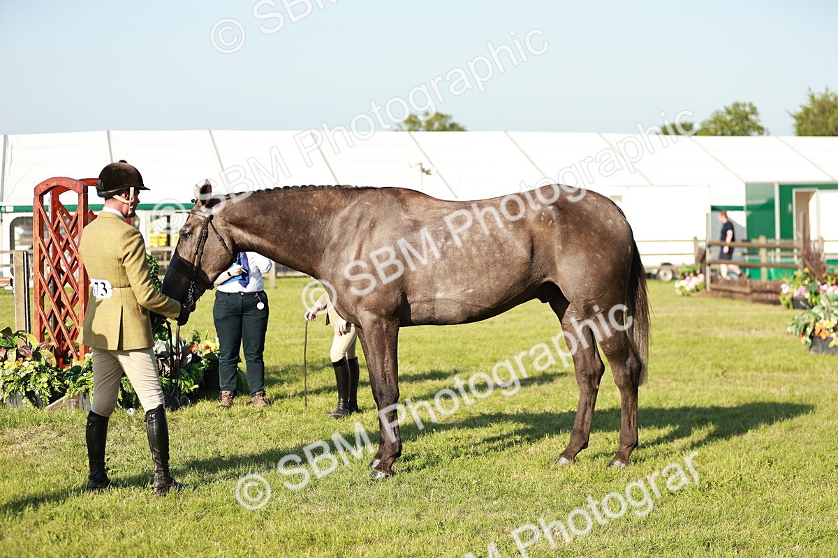 SBM_20167 - Class 117-119 - Sport Horse Working Hunter