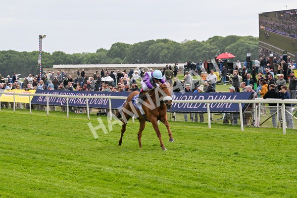 150525-See The Fire-4455 - Race 3 3.13pm Al Basti Equiworld Dubai Middleton Fillies' Stakes