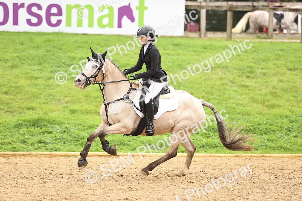 SBM_73355 - J19 - Junior Horse & Pony 90cm Supreme championship